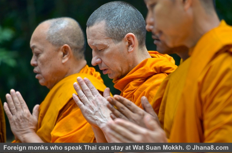 Monks chanting before morning meal at Suan Mokkh temple in Suratthani, Thailand.