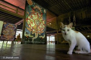 Buddhist wheel of becoming at Suan Mokkh Buddhist temple in Surat, Thailand.