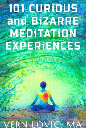 Cover of 101 Curious and Bizarre Meditation Experiences book by Vern Lovic