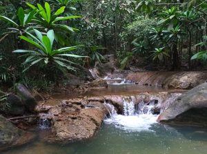 A freshwater mountain stream winding down limestone hills resembling Kundalini energy in the spine.