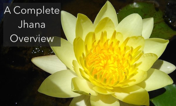 A yellow lotus flower. An introduction and overview to Jhana Meditation.