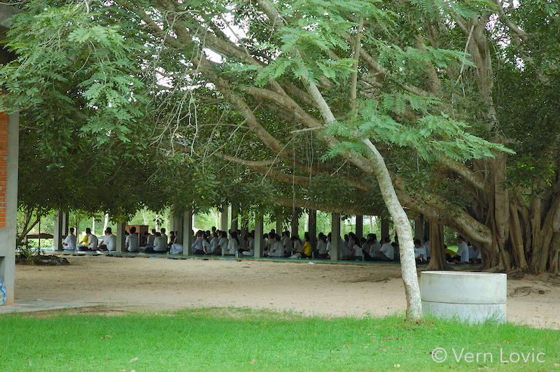 Meditators gathered for mass meditation at the International Dharma Hermitage meditation retreat in Chaiya, Suratthani, Thailand at Wat Suan Mokkh Temple.