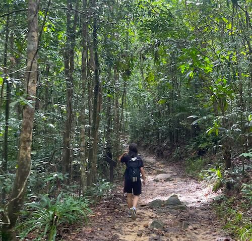 Girl walking on dirt path in the rainforest of Thailand.