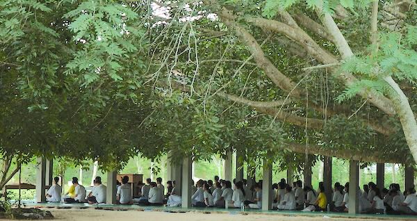 Meditators sitting in meditation at Suan Mokkh Retreat in Southern Thailand.