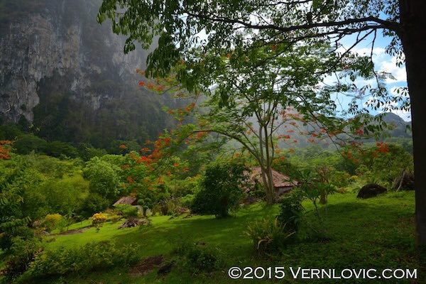 Bungalow, mountain, and rain at meditation resort in Krabi.