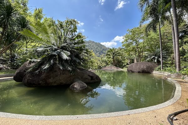 Swimming pool area fed by a natural freshwater spring.