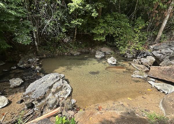 Shallow stream for meditation at PBMR.